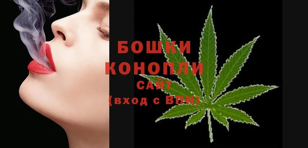 амф Магас