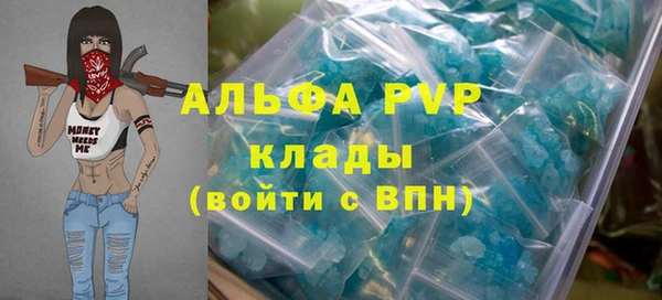 амф Магас