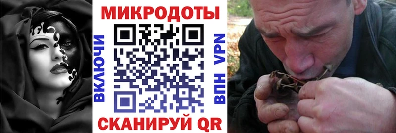 Псилоцибиновые грибы прущие грибы  Чулым 